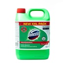 Detergent lichid dezinfectant pardoseli, 5 l, DOMESTOS