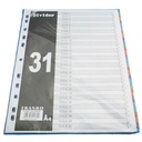 Separatoare YBL, plastic, diverse culori, 1-31, 288set/bax